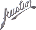 austin  car mat set