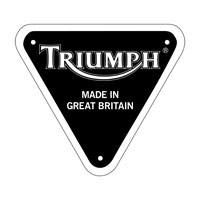 Triumph Car Mats