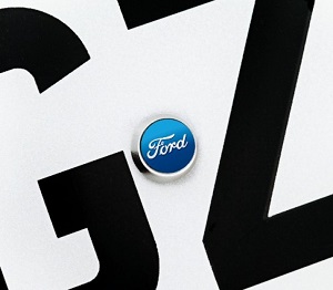 Ford Anti-Theft Number Plate Bolts with Ford logo