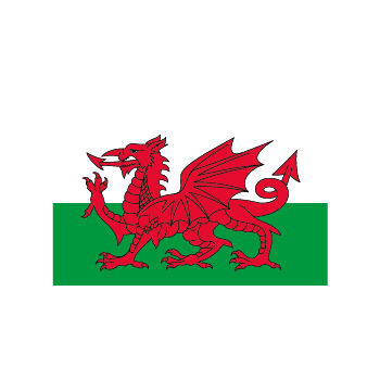 Flag 4