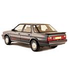 Austin MONTEGO Car Covers