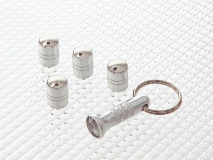 Spinning Anti-Theft Caps - Silver (P/N 3100.07)